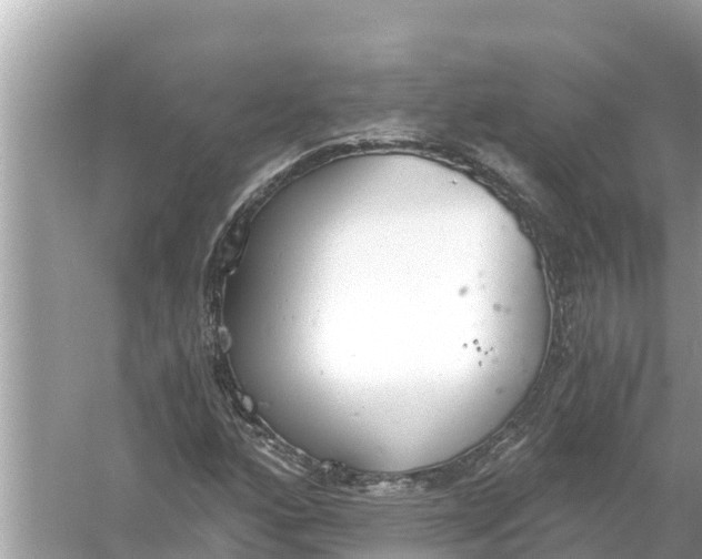 X0000056031160200509170029