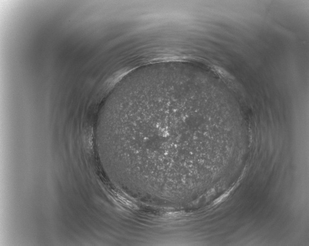 X0000056031161200509170029