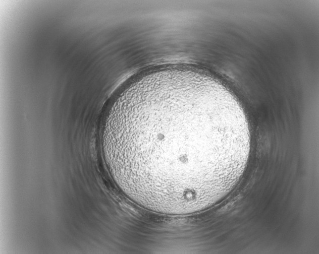 X0000056031162200509170029