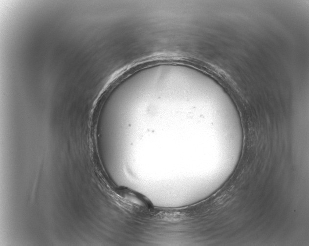 X0000056031168200509170029