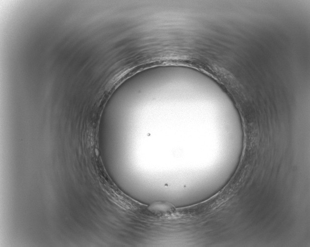 X0000056031169200509170029