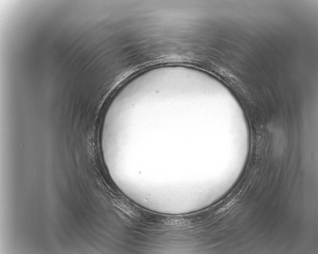 X0000056031170200509170029