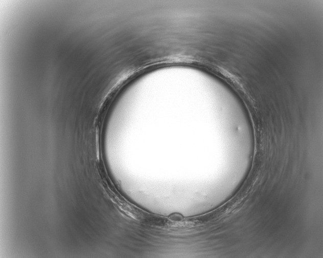 X0000056031171200509170029