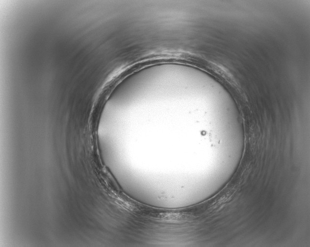 X0000056031172200509170029