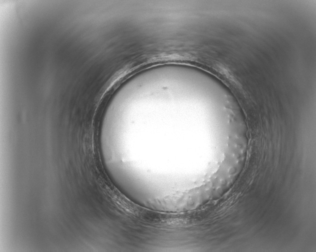 X0000056031173200509170029