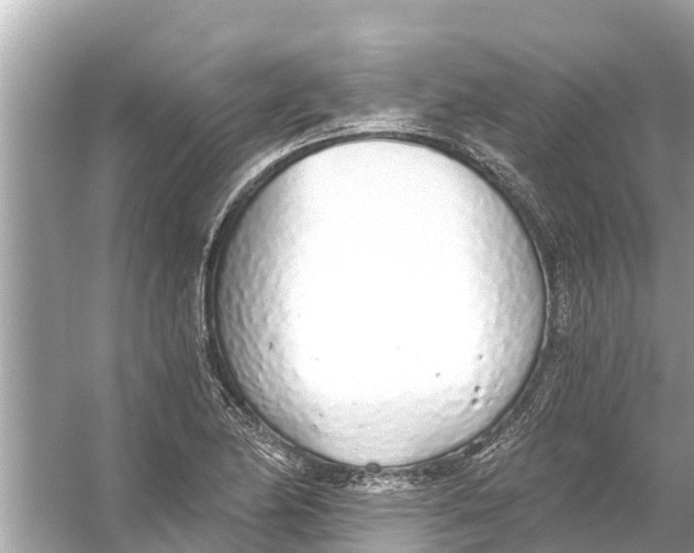 X0000056031174200509170029