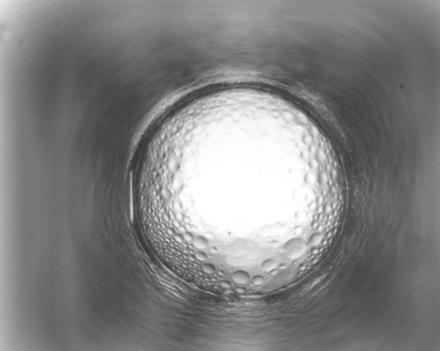 X0000056031175200509170029