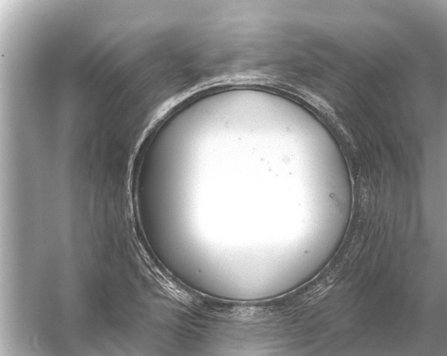 X0000056031176200509170028