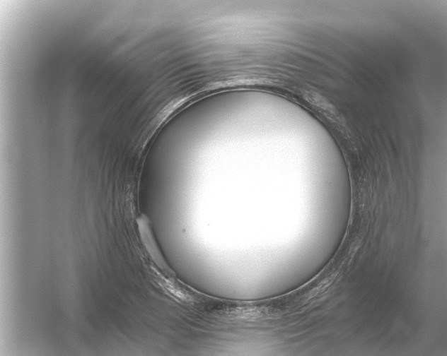 X0000056031177200509170028