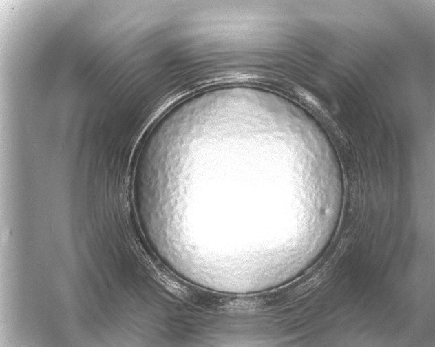 X0000056031178200509170028