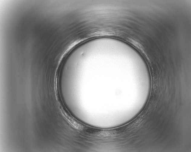 X0000056031179200509170028