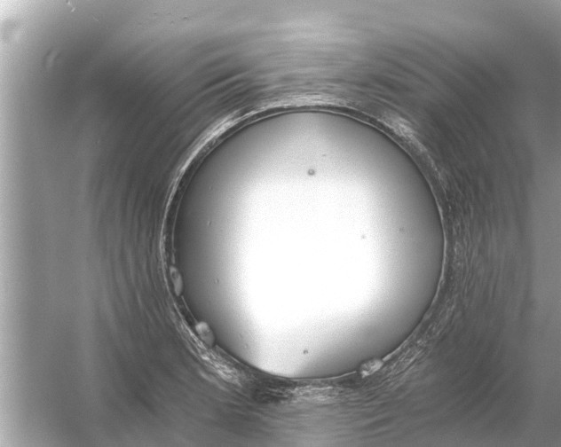 X0000056031181200509170028