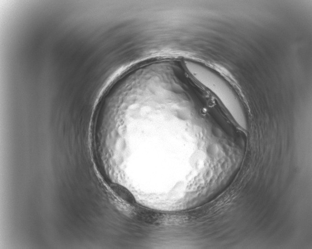 X0000056031183200509170028