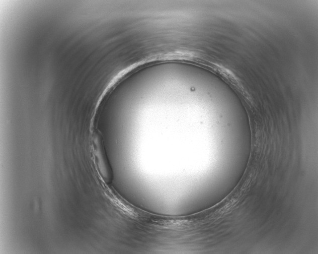 X0000056031184200509170028