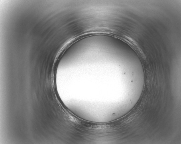 X0000056031188200509170028