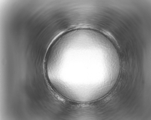 X0000056031190200509170028