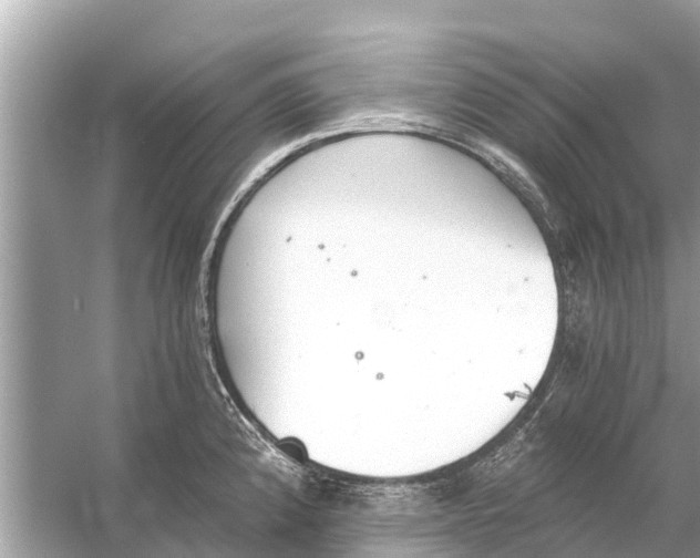 X0000056031192200509170028