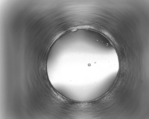 X0000056031193200509170028