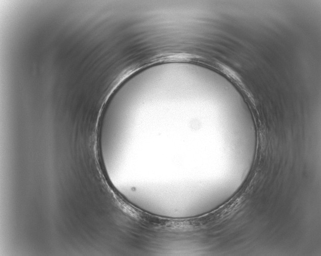 X0000056031194200509170028