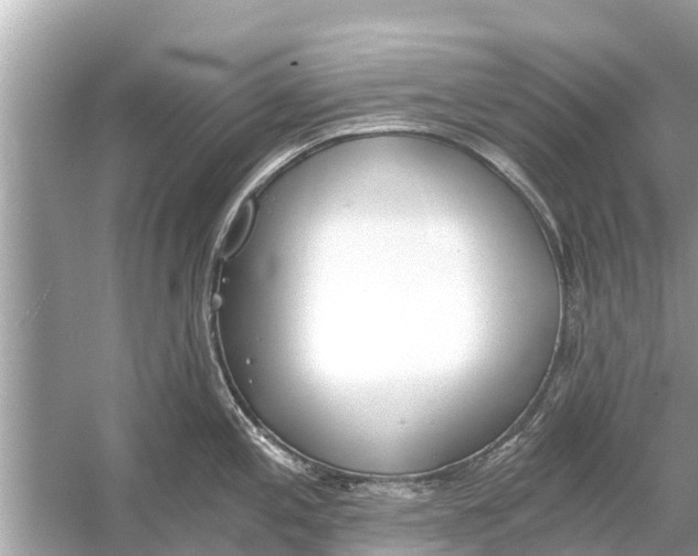 X0000056031197200509170028