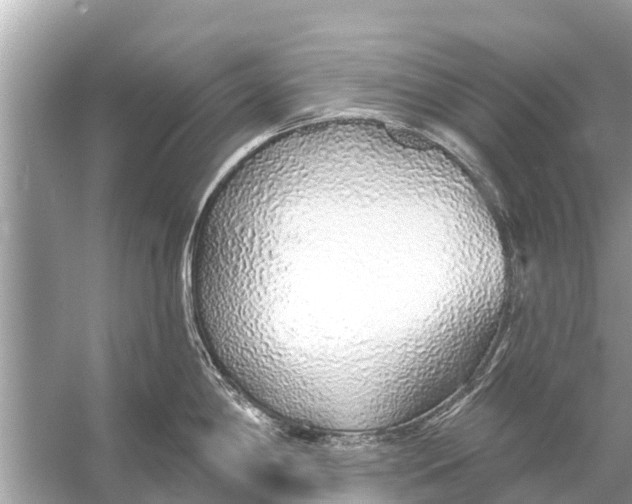 X0000056031198200509170028