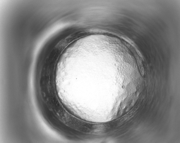 X0000056031199200509170028