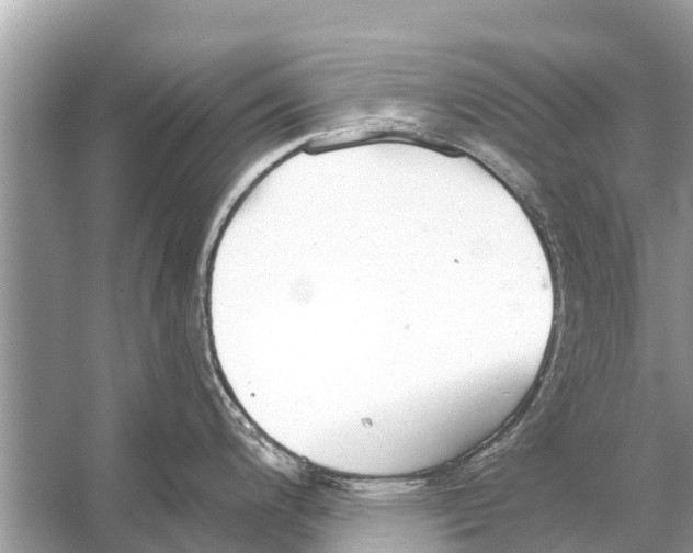 X0000056031200200509170028