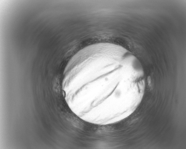 X0000056031203200509170027