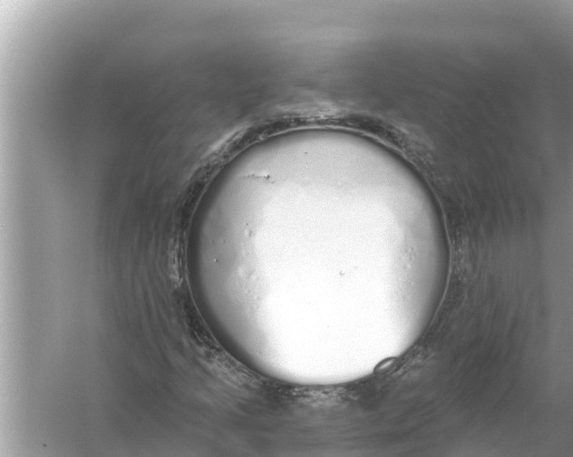 X0000056031205200509170027