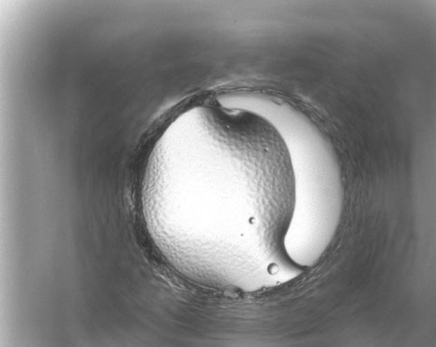 X0000056031206200509170027