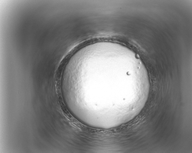 X0000056031208200509170027