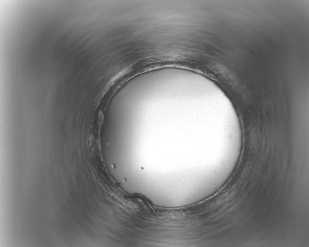 X0000056031210200509170027