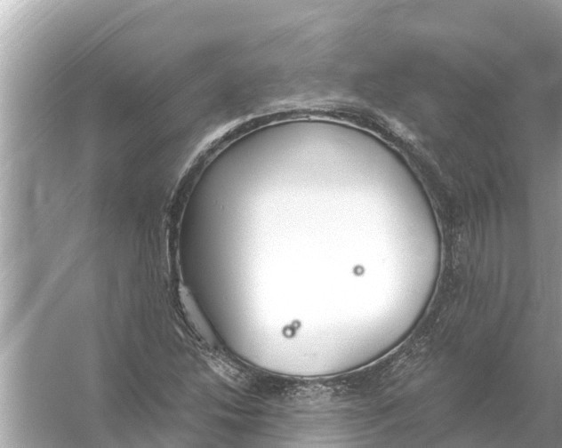 X0000056031214200509170027