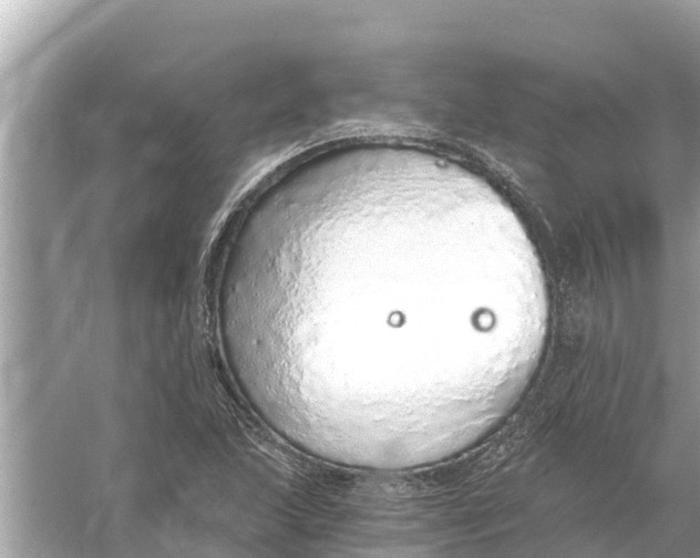 X0000056031215200509170028