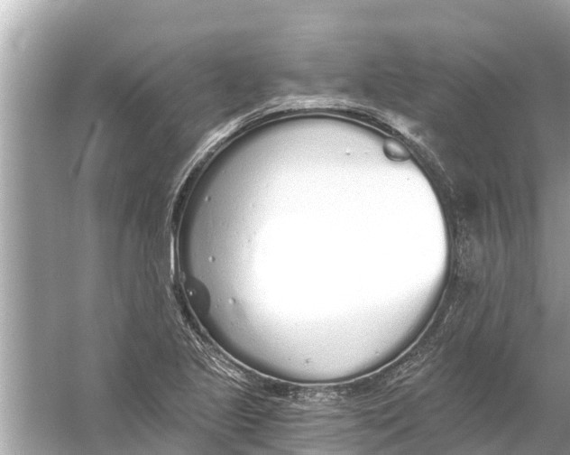 X0000056031221200509170028