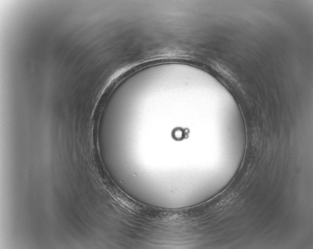 X0000056031222200509170028