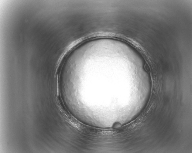 X0000056031223200509170028