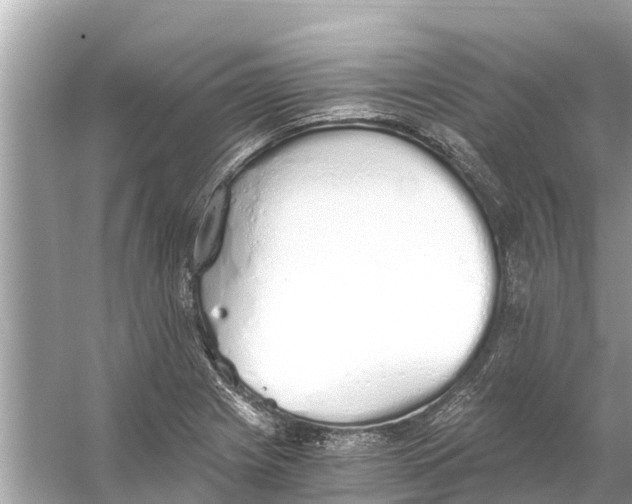 X0000056031225200509170028