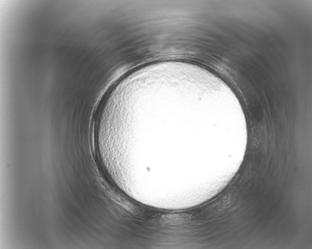 X0000056031227200509170028