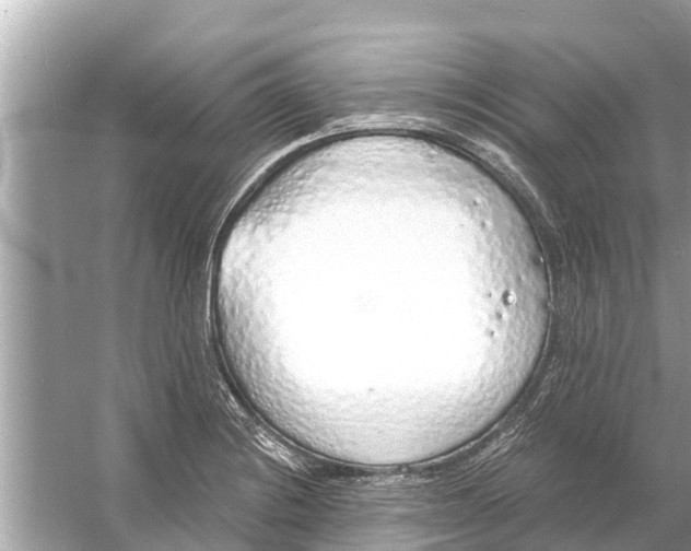 X0000056031228200509170028