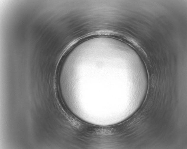 X0000056031229200509170028