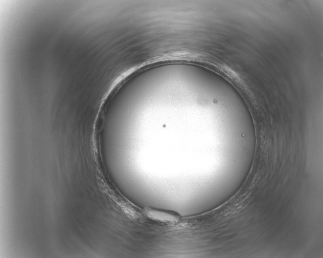 X0000056031230200509170028