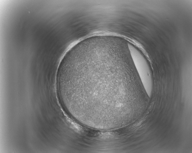 X0000056031231200509170028