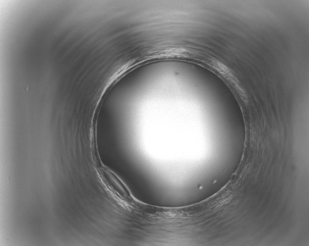 X0000056031234200509170028