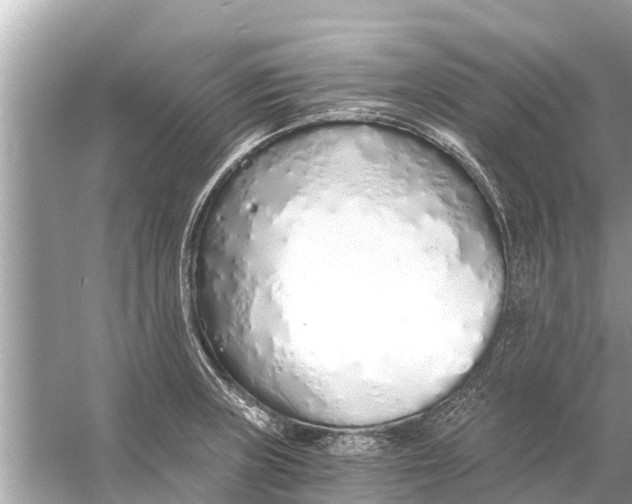 X0000056031235200509170028