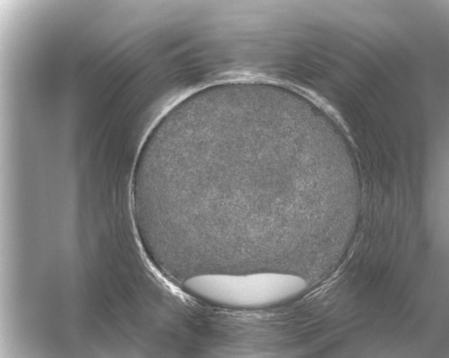 X0000056031239200509170028