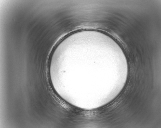 X0000056031240200509170028