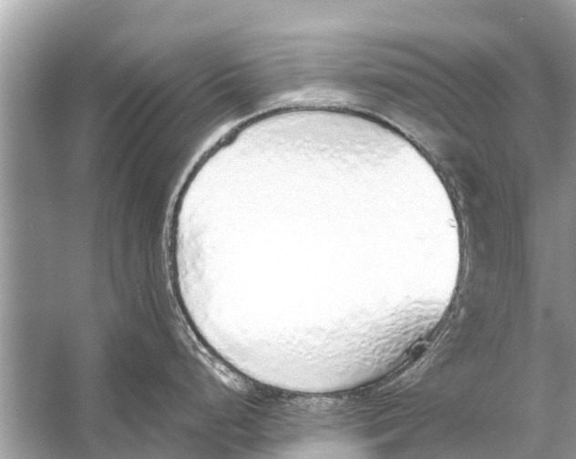 X0000056031248200509170028