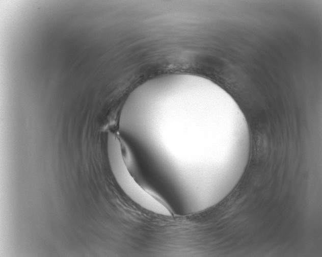 X0000056031250200509170027