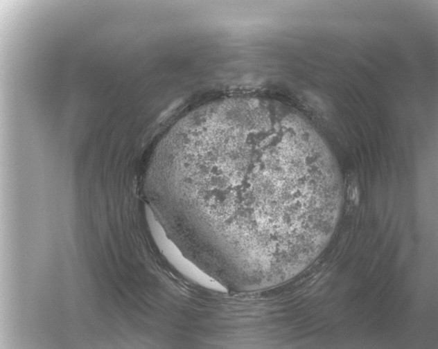 X0000056031252200509170027